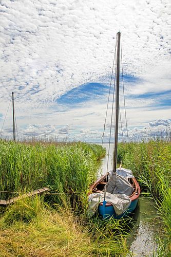 Bateau de pêche sur le Bodden près d'Ahrenshoop (Fischland / Darß)
