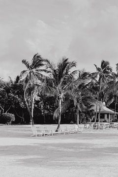 Key Islamorada Florida USA photographie noir et blanc