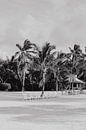 Key Islamorada Florida USA black and white photography by Amber den Oudsten thumbnail