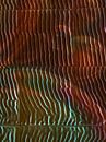 Melt with me van Daphne Depassé thumbnail