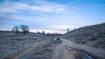 Winter auf der Posbank von Michael Fousert