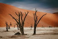 Deadvlei in Sossusvlei, Namibië