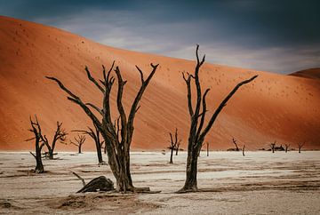 Deadvlei in Sossusvlei, Namibië van Patrick Groß
