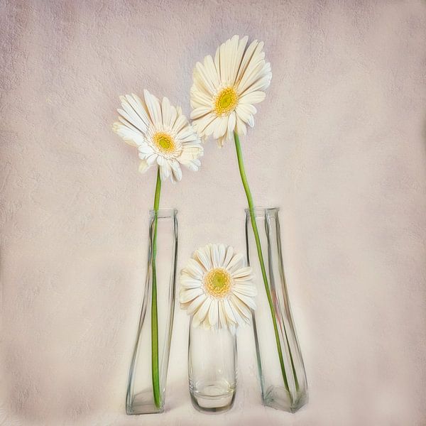 Family by Marie Stas