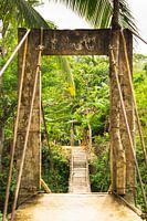Bambusbrücke auf Bohol, umgeben von Palmen