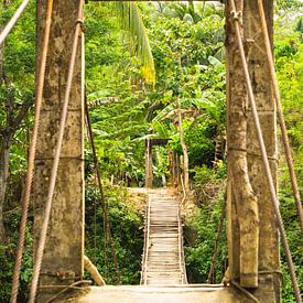 Pont en bambou sur Bohol entouré de palmiers sur Travelaar
