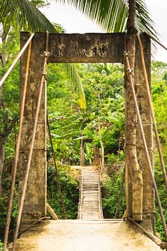 Bamboo bridge on Bohol surrounded by palm trees by Travelaar