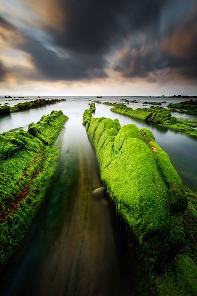 Strand von Barrika von Arnaud Bertrande