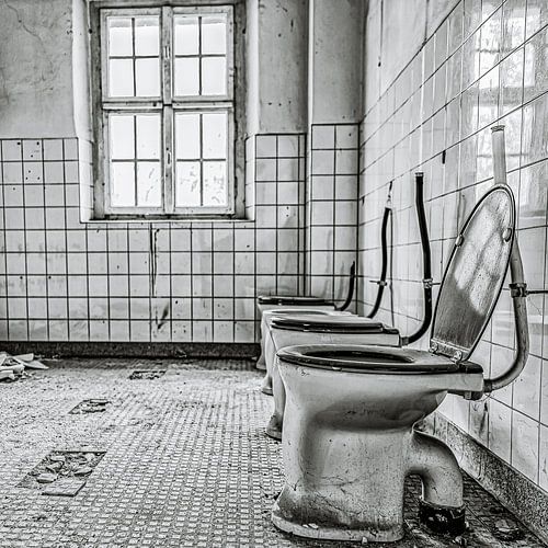 Sie werden es brauchen! Vier Toiletten hintereinander.