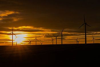 Windpark im Sonnenuntergang