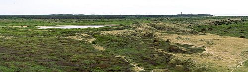 Het wonderlijke groene Terschelling(panorama)