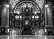 The Entrance by Stefan Dhondt thumbnail