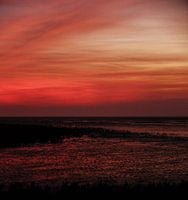 Het rode wad