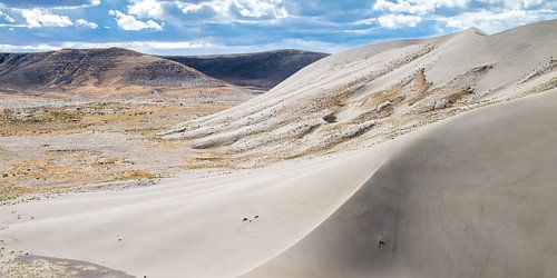 Dunes de sable