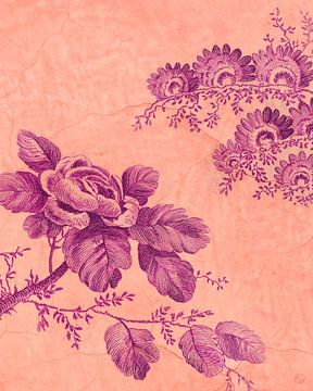 Draw me a Rose on the Wall | Botanische print - Bloemen illustratie op muur -  Fuchsia en Roze van Marlou Westerhof