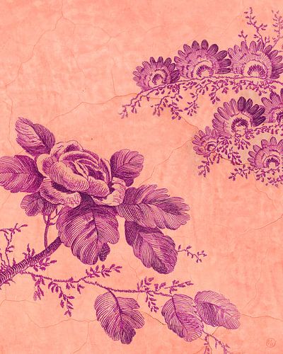 Zeichne mir eine Rose an die Wand von Marlou Westerhof