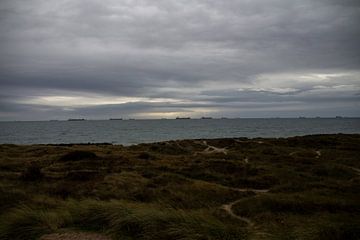 Vrachtschepen op zee in het Kattegat van Fotografie door Jade
