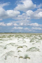Strand in Sankt Peter-Ording von Peter Eckert