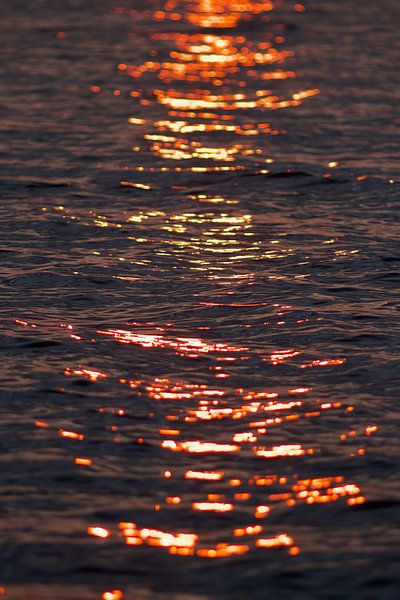 Sunset Lauwersmeer by Dalmuro