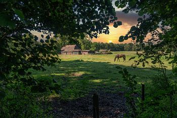 Een, Drenthe (Die Niederlande)
