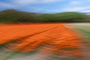 Les vagues du printemps