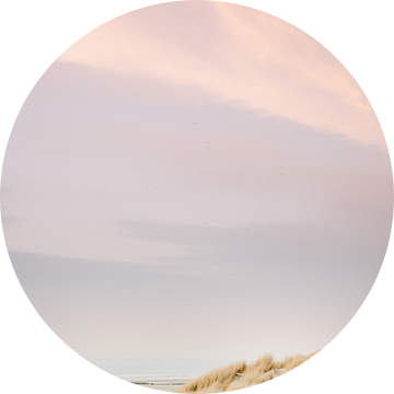 De duinen van Ameland | Kleurrijke pastel strand fotografie van Raisa Zwart Reisfotografie Prints