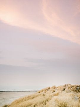 The dunes of Ameland | Colourful pastel beach photography by Raisa Zwart