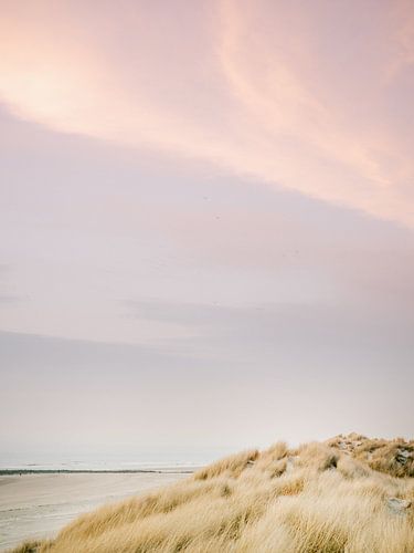 De duinen van Ameland | Kleurrijke pastel strand fotografie