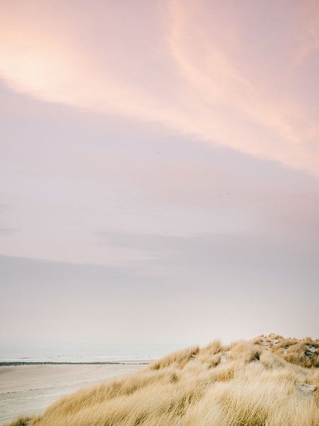 The dunes of Ameland | Colourful pastel beach photography by Raisa Zwart