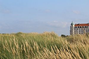 Dünen von Zeebrugge
