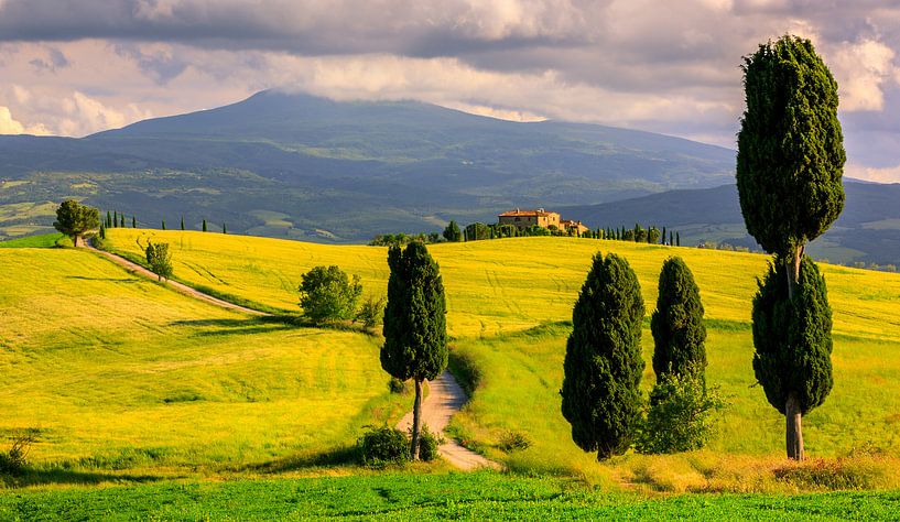 Val d'Orcia, Toscane, Italie van Henk Meijer Photography