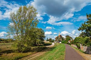 Deich mit Radweg an der Elbe in Magdeburg
