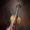 Still Life With Violin by Diana van Tankeren