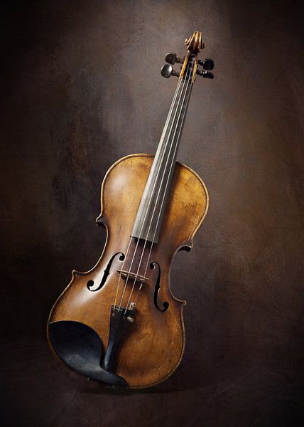 Violine - Stilvolles Stilleben mit Viola von Diana van Tankeren