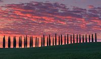 Sunrise at Agriturismo Poggio Covili, Tuscany, Italy von Henk Meijer Photography Miniaturansicht
