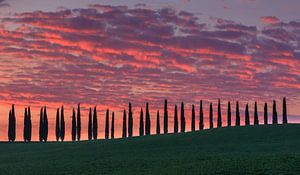 Sunrise at Agriturismo Poggio Covili, Tuscany, Italy sur Henk Meijer Photography