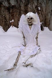 Skeletons with charm, humor and simply different