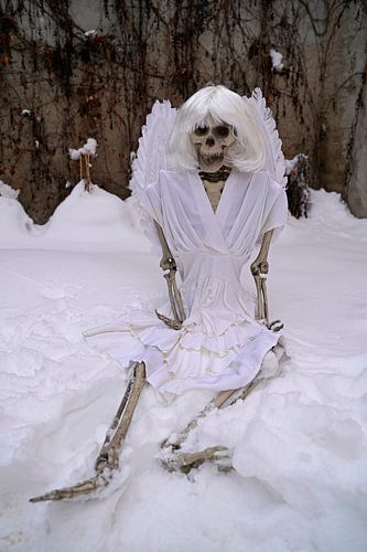 Skeletten met charme, humor en gewoon anders