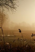 Mist op het land