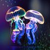 Deux méduses néon sur Digital Art Nederland