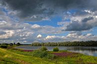 Rivier de IJssel met kattestaarten van Hielkje Koen thumbnail