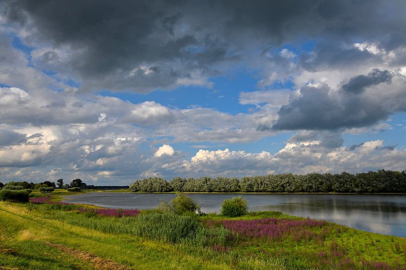 Rivier de IJssel met kattestaarten van Hielkje Koen