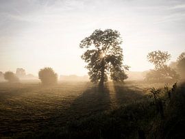 Baum des Lebens von Eric van der Gijp