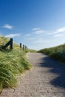 Kustpad door de duinen op Baltrum