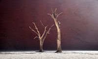 Dead trees in Deadvlei with purplish dunes