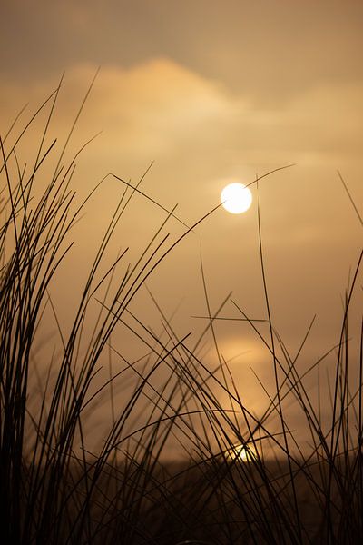 L'heure d'or en Zélande par Coen van Eijken