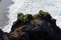Isländische Küste von Anton de Zeeuw Miniaturansicht