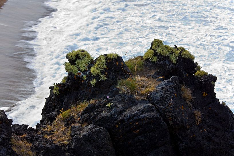 Côte islandaise par Anton de Zeeuw