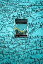 Daffodils in the window by Jonas Röjestål thumbnail