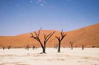 Woestijn in Namibië par Denise van der Plaat Aperçu
